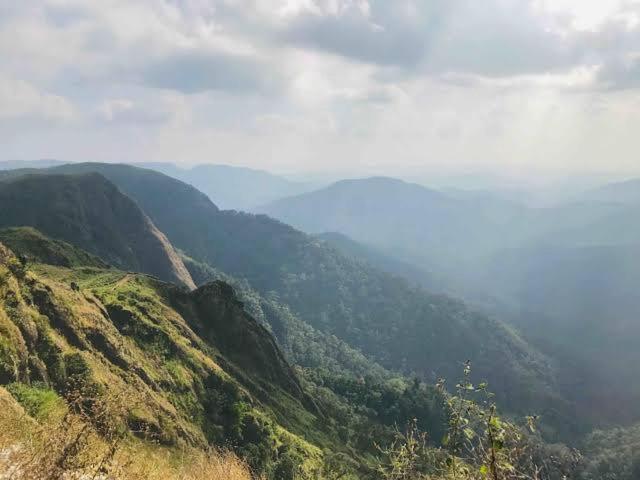 The Heritage Home Kasauli I Pine View Serviced Villa I Best Seller I Vacations I Family Events I Sky Bonfire I Kasauli By Exotic Stays Luaran gambar