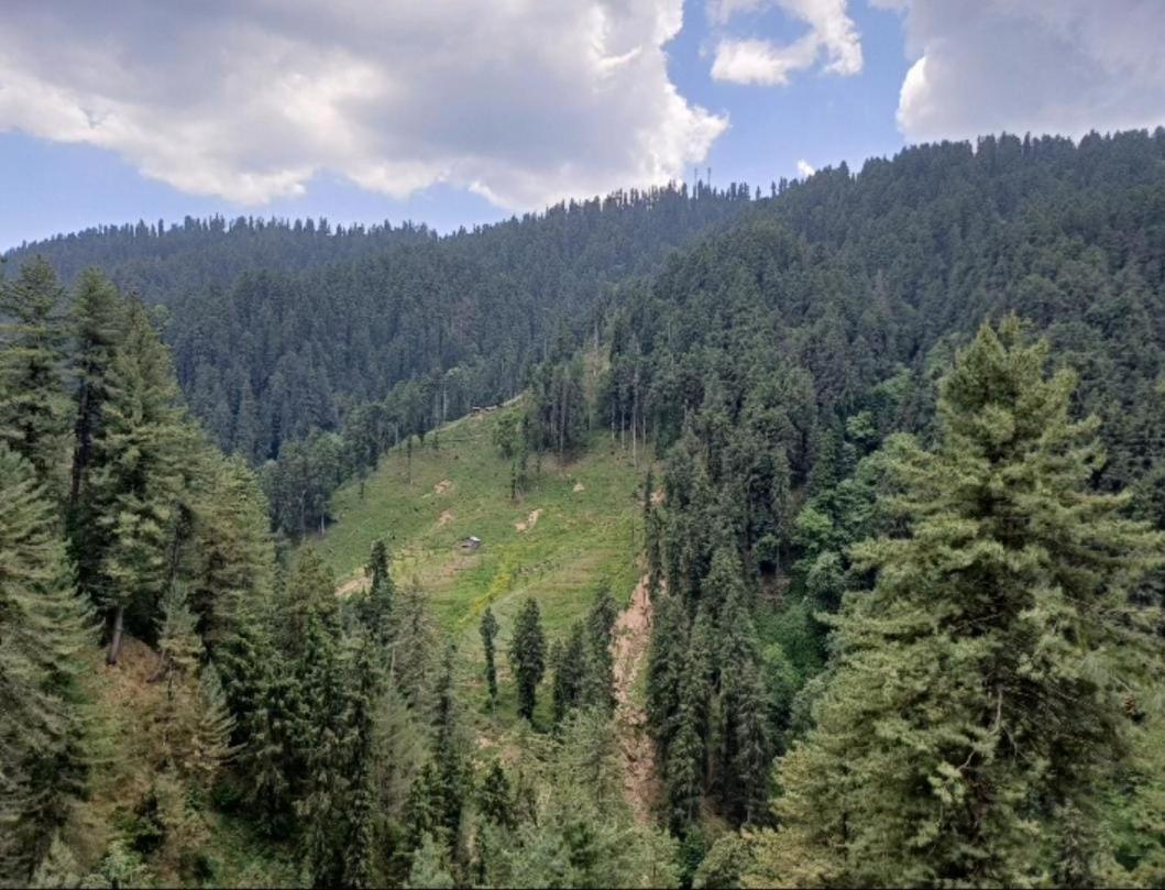 The Heritage Home Kasauli I Pine View Serviced Villa I Best Seller I Vacations I Family Events I Sky Bonfire I Kasauli By Exotic Stays Luaran gambar